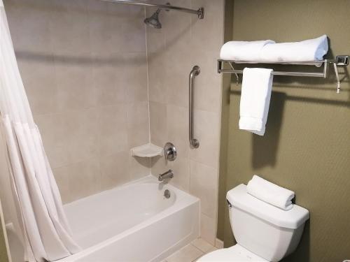 Koupelna v ubytování Holiday Inn Express & Suites Toluca Zona Aeropuerto by IHG