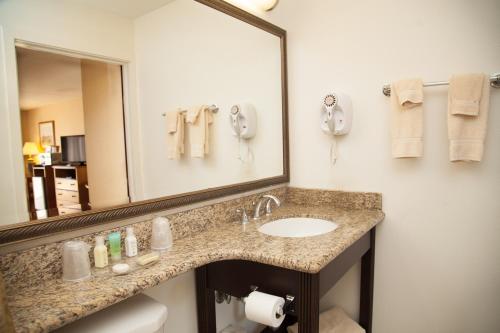 Bilik mandi di Bodega Coast Inn and Suites