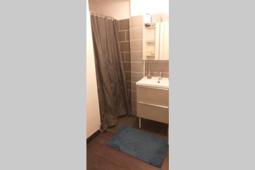 y baño con lavabo y espejo. en superbe appartement T3 traversant avec place de parking, en Rodez