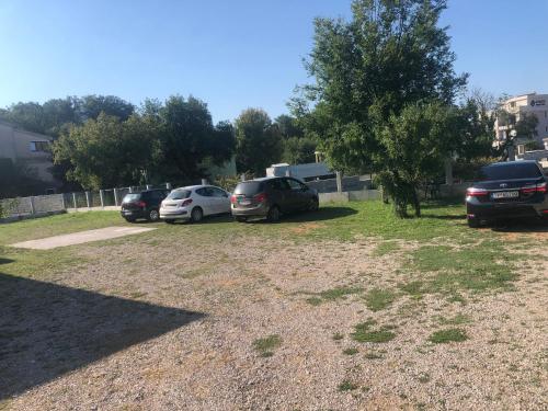 Fotografie z fotogalerie ubytování Apartmani Andrea-jaz v destinaci Budva