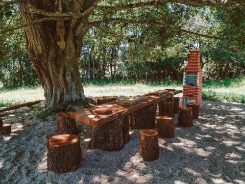 a group of logs and a table under a tree at Ecaffe Hotel Pousada Container - Coqueiral MG in Coqueiral