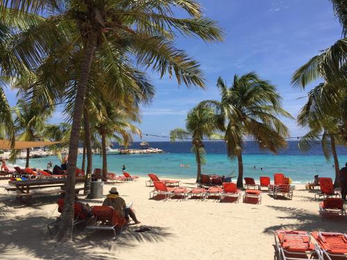 a beach with chairs and palm trees and the ocean at Blue Bay Penthouse REEF 5, BEACH GOLF POOL DIVE with OCEAN View in Sint Michiel