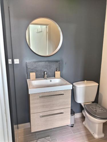 une salle de bain avec un lavabo et un miroir et des toilettes dans l'établissement F2 LA PAUSE EBROICIENNE PROXIMITE GARE, à Évreux