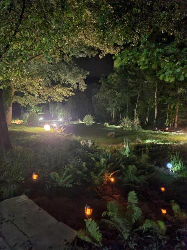 a garden at night with lights in the grass at Dom Weselny Pod Kasztanem in Lubań