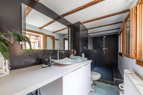 コルマールにあるZEN studio - maison alsacienne - lit KING SIZEのバスルーム(洗面台、トイレ付)