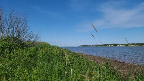 Bouctouche Bay Inn – Photos 3