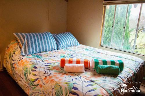 Billede fra billedgalleriet på Hospedaje Familiar Nicomacc i Melipeuco