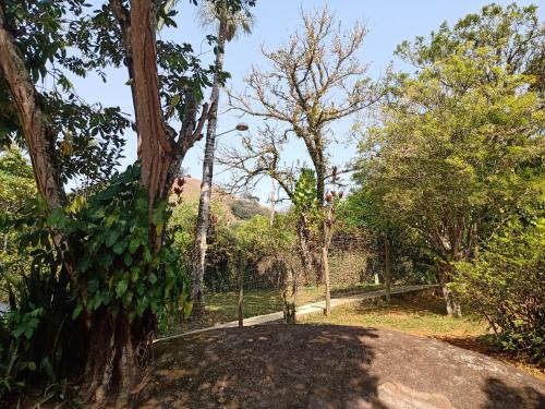 a tree with a bunch of green leaves on it at Pousada Vertente das Águas in Lumiar