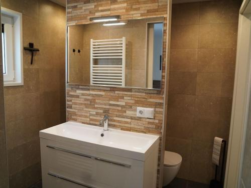 łazienka z umywalką, lustrem i toaletą w obiekcie Nature-Connected Modern Stay w mieście Hoenderloo