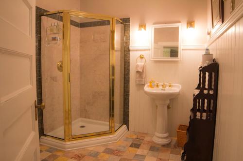 a bathroom with a shower and a sink at Lehmann House Bed & Breakfast in Saint Louis