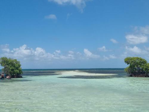 an island in the ocean with trees in the water at Gites Kaladja in Port-Louis