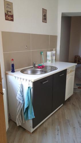 uma cozinha com um lavatório e uma bancada em Ferienwohnung Neustrelitz em Neustrelitz