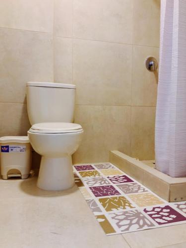 a bathroom with a toilet and a shower at Mar , Familia & Diversion en San Bartolo in San Bartolo