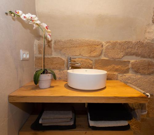 ein Waschbecken auf einer Holztheke mit einer Pflanze in der Unterkunft La Casa de los Mil Años in Estella