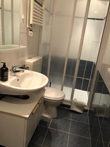 a bathroom with a sink and a toilet and a shower at Ferienwohnung 1 Hof Flüh in Klenzau