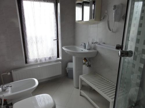 La salle de bains blanche est pourvue d'un lavabo et d'une douche. dans l'établissement Apartment Makuc, à Bovec