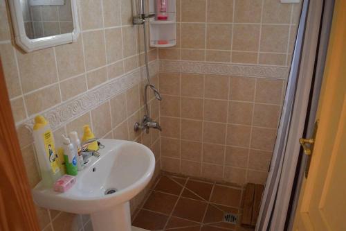 mała łazienka z umywalką i prysznicem w obiekcie Mojacar farmhouse apartments with pool w mieście Los Gallardos