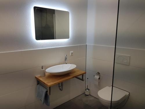 a bathroom with a sink and a toilet and a mirror at Haus Soestblick - Ferienwohnung in Möhnesee