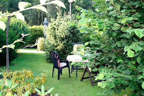 ツィングストにあるVoß, APPの芝生の中にテーブルと椅子が置かれた庭園