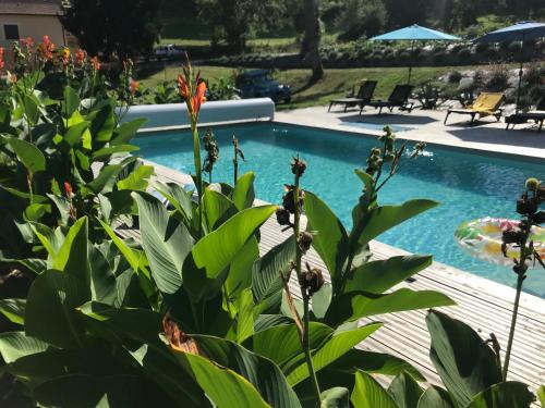 - une vue sur la piscine depuis une usine dans l'établissement La Maison d'Élise, à Sarlat-la-Canéda