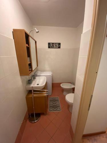 Baño pequeño con lavabo y aseo en Un tocco provenzale a Savigliano, en Savigliano