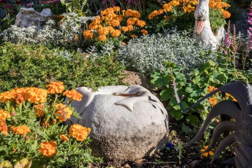Zahrada ubytování Tonigbauernhof Blumenwiese