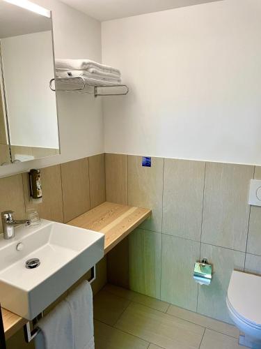 a bathroom with a sink and a toilet at Alpenlodge Val Gronda in Obersaxen