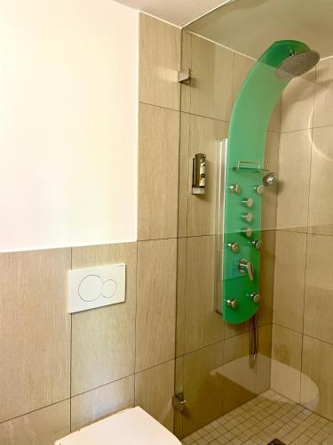a bathroom with a shower with a green bird on the wall at Alpenlodge Val Gronda in Obersaxen
