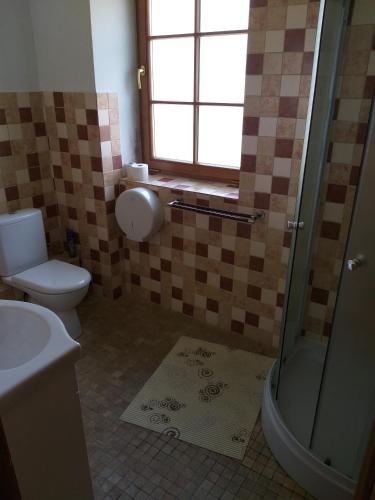 a bathroom with a toilet and a shower and a sink at Brīvdienu māja Dukāti in Cesvaine