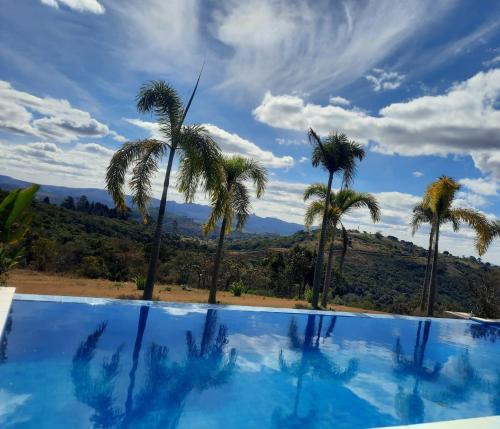 a view of palm trees from a swimming pool at Capão do Cerrado Pousada e Spa in Itabirito