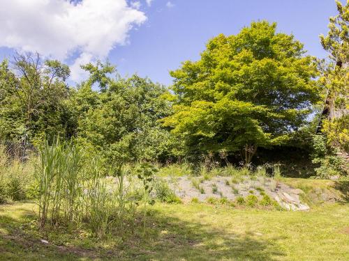 a field of grass with trees and rocks at Holiday Home Brníčko by Interhome in Brníčko