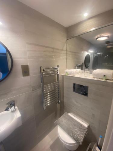 a bathroom with a toilet and a sink at Furzeleigh Mill Inn in Buckfastleigh