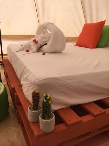 Imagen de la galería de Glamping Due Amici, en Palomino