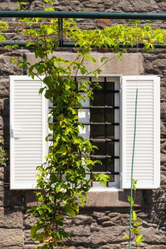 a window with white shutters on a stone building at Casa Amarela Apartments - by Casas na Ilha in Câmara de Lobos