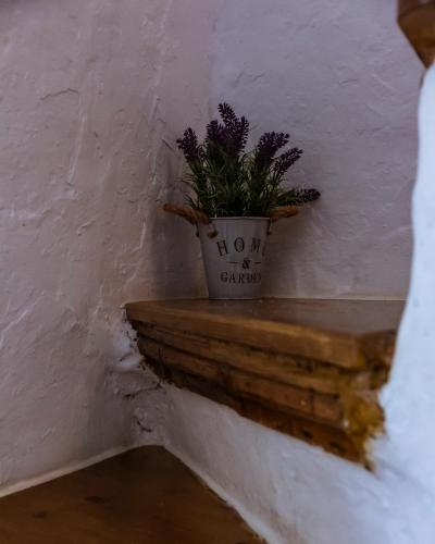 a plant in a pot sitting on a ledge at Casa Tato Figuerola d'Orcau in Figuerola de Orcau