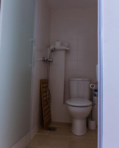 a small bathroom with a toilet and a shower at Casa Tato Figuerola d'Orcau in Figuerola de Orcau