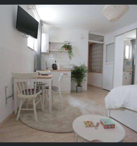 Studio Apartments Siesta