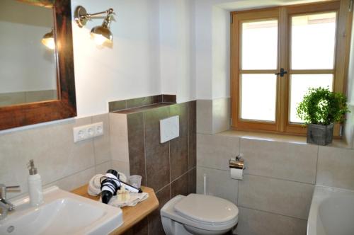 y baño con aseo, lavabo y espejo. en Springerhof, en Schechen