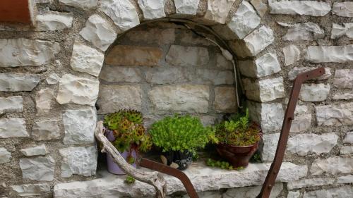 a stone wall with potted plants on a shelf at Vikos Hotel in Monodendri
