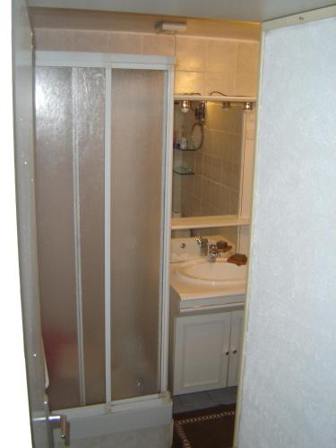 une salle de bain avec douche et lavabo dans l'établissement Appartment Aiguille Du Midi, à Chamonix-Mont-Blanc