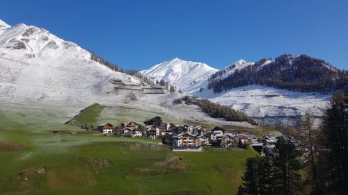 a group of houses on a hill in the mountains at Haus Crestas in Samnaun