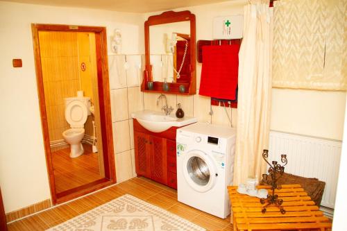a bathroom with a washing machine and a sink at La Mihai in Lupeni