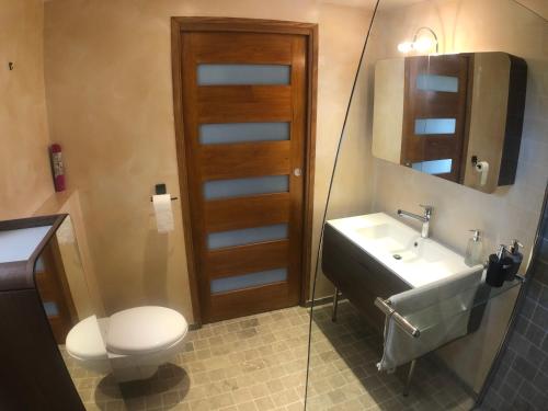 uma casa de banho com um WC, um lavatório e um espelho. em La Maison du Moulin à Vent em La ForestiÃ¨re