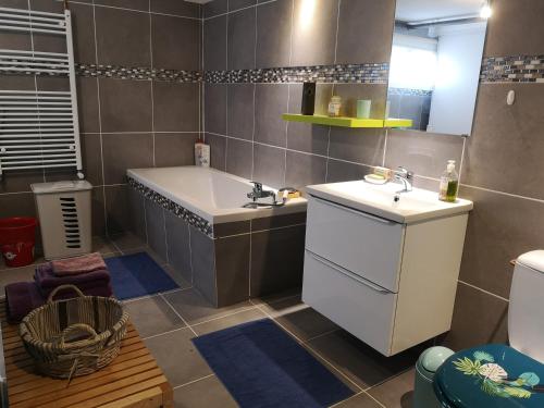 uma casa de banho com uma banheira e um lavatório em LE CEDRE BLEU em Saint-Michel-sur-Meurthe