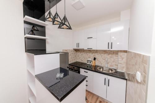 Η κουζίνα ή μικρή κουζίνα στο Apartman Jovana Banja Koviljaca
