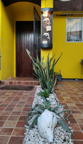 CASA TORTUGA – Photos 2