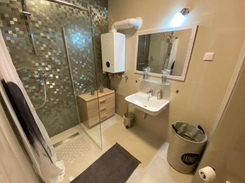 a bathroom with a shower and a sink at Apartman Pepper in Osijek