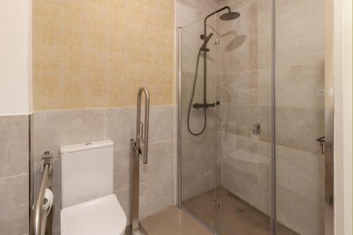 a bathroom with a shower and a toilet at Hostal Casa de Luna y Sol in Úbeda