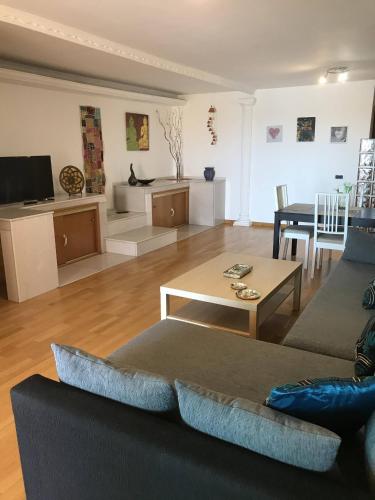 Big and Bright Apartment
