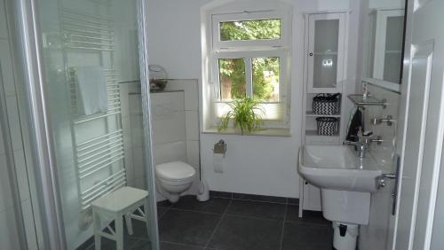 een badkamer met een wastafel, een toilet en een raam bij Ferienwohnung Am Ochsenweg in Hüsby